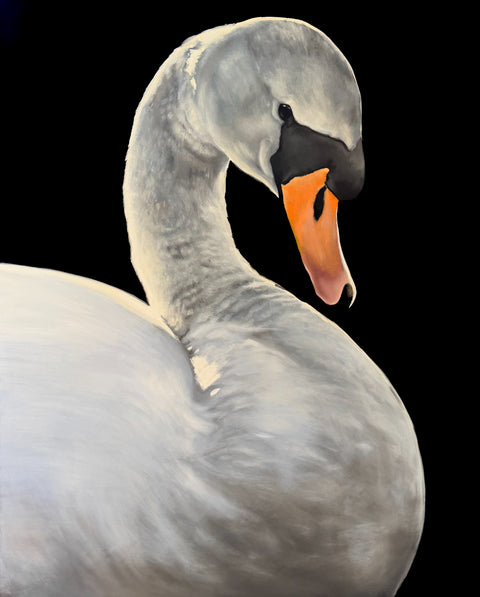 Swan