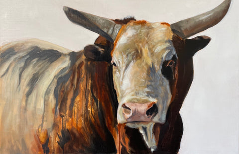 Bull Study in Oil